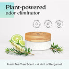 Azuna Air Freshener & Odor Eliminator Gel 4 Room Kit, Includes (4) 8 oz. Empty Luxe Glass Jars & 24 oz. Refill with Tea Tree Essential Oil, Amalfi Breeze, Works 24/7 for 60-90 Days