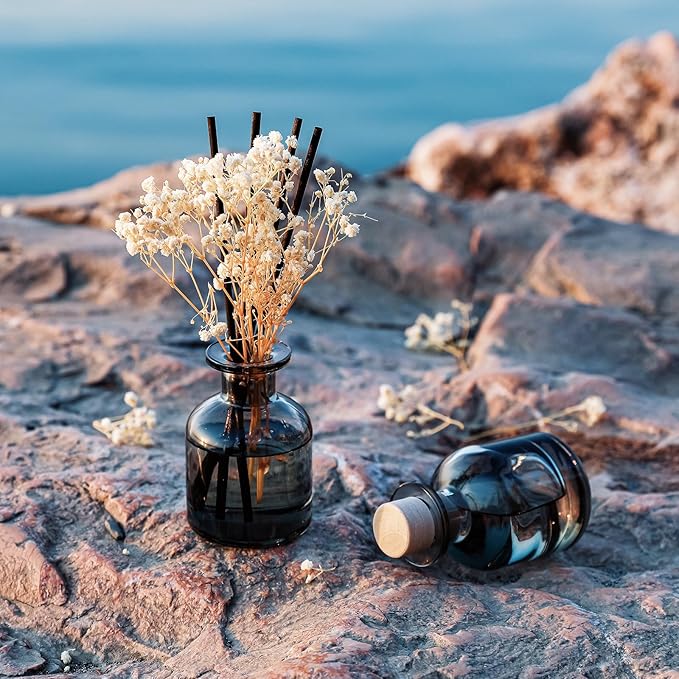 Brakula 2 Pack Reed Diffuser, White Jasmine + Eucalyptus & Wild Mint (3.38 fl oz Each Pack), Home Fragrance with 12 Sticks, Shelf Decor, Reed diffusers for Home