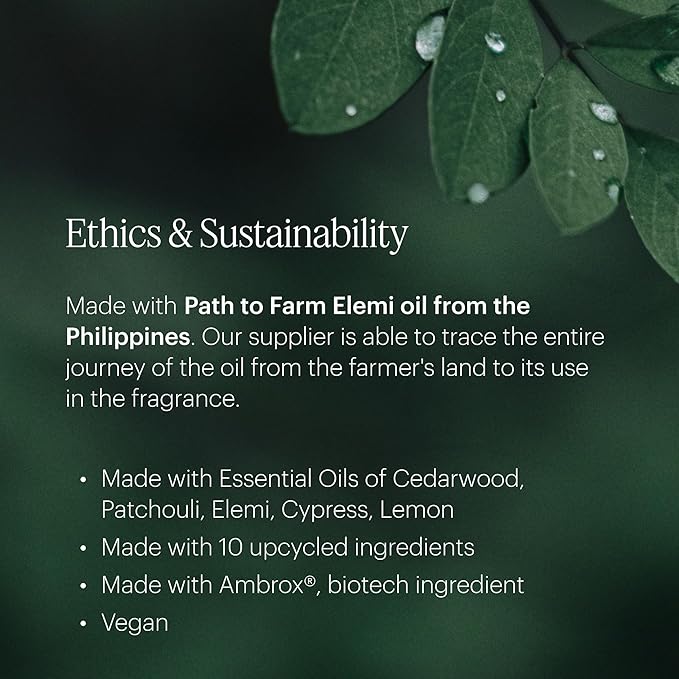 Aera Mini Poetry - Essential Oil for Home – Smooth Suede and Violet Fragrance - Notes of Vetiver, Eucalyptus and Woods - Scent Refill - Capsule Size Works with Mini Diffuser