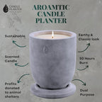 Matani Concrete Cement Candle Planter - Aromatherapy Soy, Dual Purpose Jar - Grey Lavender