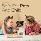 Satya Palo Santo Incense Sticks 250 gmx 2 Pack (500 GMS), Insenses with Raajsee insence Holder Bundle, Nag Champa Natural Incenses