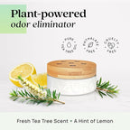 Azuna Air Freshener & Odor Eliminator for Strong Odor | 2 Room Kit Includes (2) 8 oz. Empty Luxe Glass Jars & 12 oz | Refill with Tea Tree Essential Oil Gel | Natural Scent | Last 60-90 Days