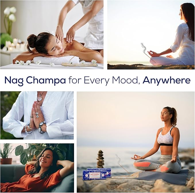 Satya Nagchampa Incense Sticks 250 gmx 2 Pack (500 GMS), Satya BNG (Bangalore) Insenses with Raajsee Incense Holder Bundle, Satya Nagchampa Natural Incense