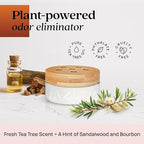 Azuna Air Freshener & Odor Eliminator for Strong Odor | 4 Room Kit Includes (4) Empty Luxe Glass Jars & 24oz Gel Refill with Tea Tree Essential Oil | Sandalwood Scent | Last 60-90 Days