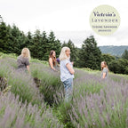 Victoria's Lavender Room Spray - All-Natural Air Freshener, Made in the USA, Essential Oil Concentrated, Bathroom Odor Eliminator, Luxury Room Spray, 2-Pk Lavender Lemon Sage, 4 oz