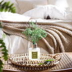 Airkeep Reed Diffuser Set - 3.38 fl oz(100ml) Bamboo Scent Diffuser Home Fragrance Diffuser Set Includes 8 Reed Diffuser Sticks,Home Decor & Office Decor, Fragrance and Gifts