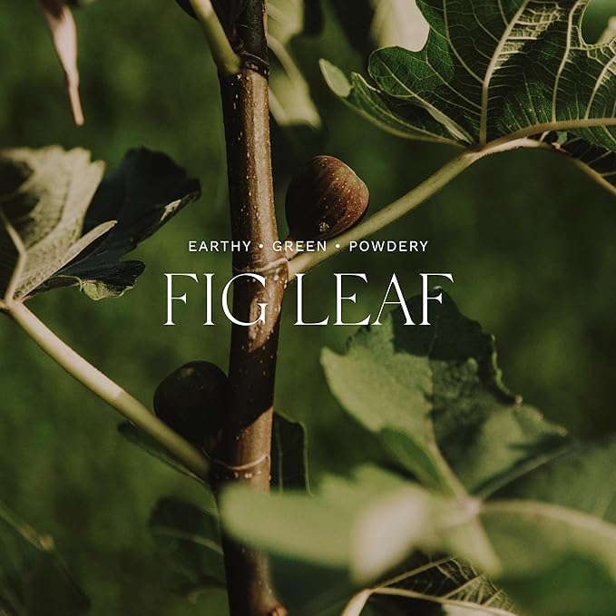 Antica Farmacista Home Ambiance Diffuser, Fig Leaf, 8.45 Fl Oz