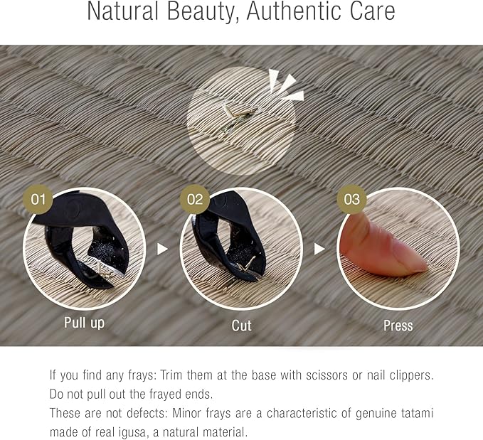 Asayu Mini Tatami mat Made of Real Igusa Rush Grass, Made in Japan, for Bonsai, Doll Stand, Coaster, Incense Holder (Blue)