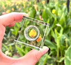 TOBOHU Crystal Palo Santo Incense Holder