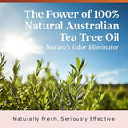 Azuna Air Freshener & Odor Eliminator for Strong Odor | 4 Room Kit Includes (4) Empty Luxe Glass Jars & 24oz Gel Refill with Tea Tree Essential Oil | Sandalwood Scent | Last 60-90 Days