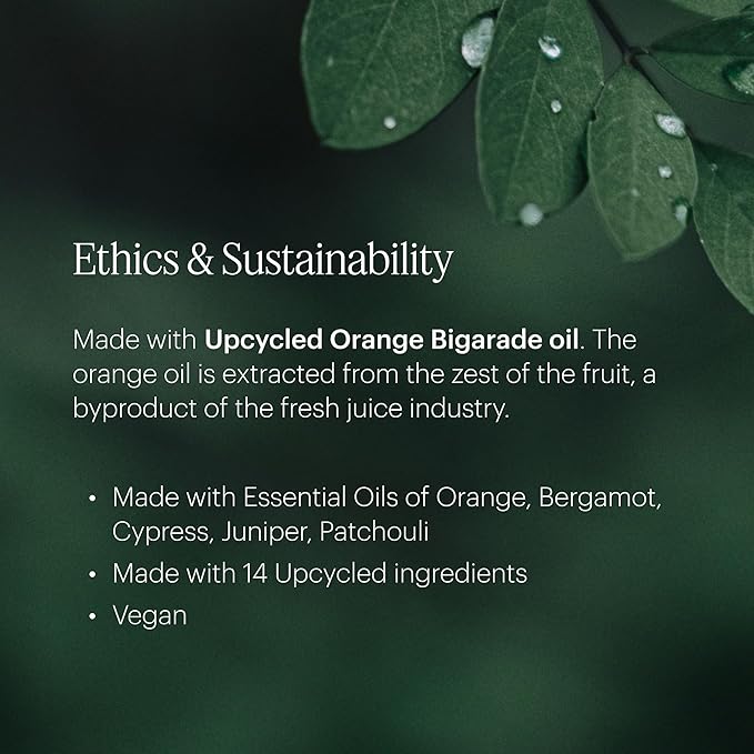 Aera Mini Pacific Surf - Essential Oil for Home – Invigorating Ocean Fragrance - Notes of Marine and Cedarwood - Scent Refill - Capsule Size Works with Mini Diffuser