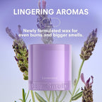 Boy Smells Lavender Candle - 8.5 oz - Luxury Candle with Lemon, Lavander, and Vetiver - Up to 50-Hour Burn - Cotton Wick