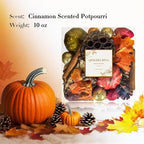 Qingbei Rina Fall Potpourri with Pumpkin, Cinnamon Scented Potpourri Bowl Filler,Thanksgiving Decorative Dried Flowers,Home Fragrance Sachet, Vase Fillers,Bathroom Decor(14oz)