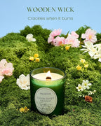 M&SENSE Cedar Orange Candles, Wooden Wick Strong Scented Candle, 100 Hours Long Burning No Toxin Natural Soy Wax 18oz, Cozy Air Purifying Relaxing Home Fragrance, Housewarming Gifts for Her Him