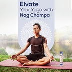 Satya Sai Baba Nagchampa Insence 250 gm Pack Bundle with Raajsee Incense Stick Holder, Insense Sticks Nag Champa Agarbatti