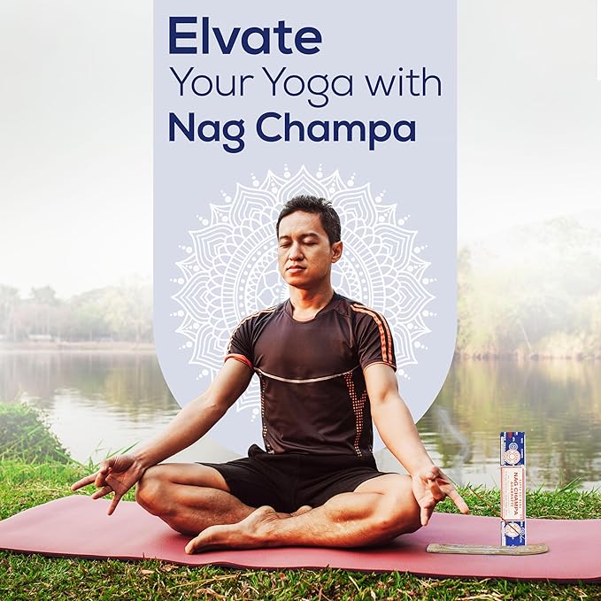 Satya Sai Baba Nagchampa Insence 250 gm Pack Bundle with Raajsee Incense Stick Holder, Insense Sticks Nag Champa Agarbatti