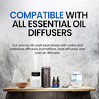 Solvère Perfume Inspired Diffuser Oil | Perfume Oil Diffuser Refill | 10ml Essential Oil for Diffusers | Versatile and Mess-Free | Essential Oil Refill by Perfa