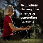 9 pcs Wildly Harvested - White Sage Incense Sticks, 7" Long - Thick Aromatic Incense Sticks (45-55 min Burning Time) to Neutralize Negative Energies & Harmonizing Spaces