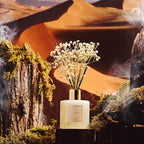 COCORRÍNA Reed Diffuser - Moroccan Amber 6.7 Fl.oz Reed Diffuser Set with Sticks & Preserved Baby's Breath, Reed Diffuser for Home Bathroom Shelf Decor