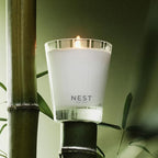 NEST New York Scented Classic Candle, Bamboo - 8.1 oz - Up to 60-Hour Burn Time - Reusable Glass Vessel