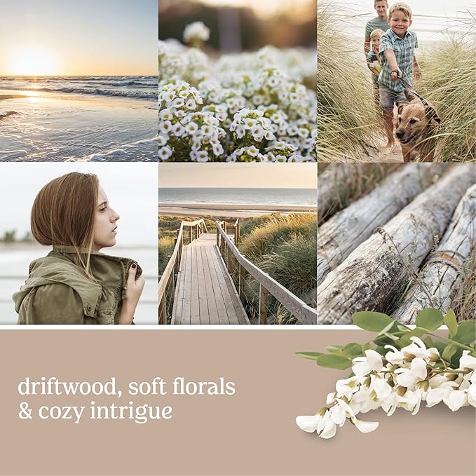 Yankee Candle Seaside Woods Scented, Classic 22oz Large Jar Single Wick Candle, Over 110 Hours of Burn Time