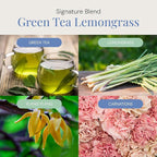 Green Tea & Lemongrass Aroma Oil, Essential Oils Blend for Diffusers and Scent Machines, Citrus, Floral & Green Notes, Aromatherapy, Cold Air Diffuser Compatible, 300 mL