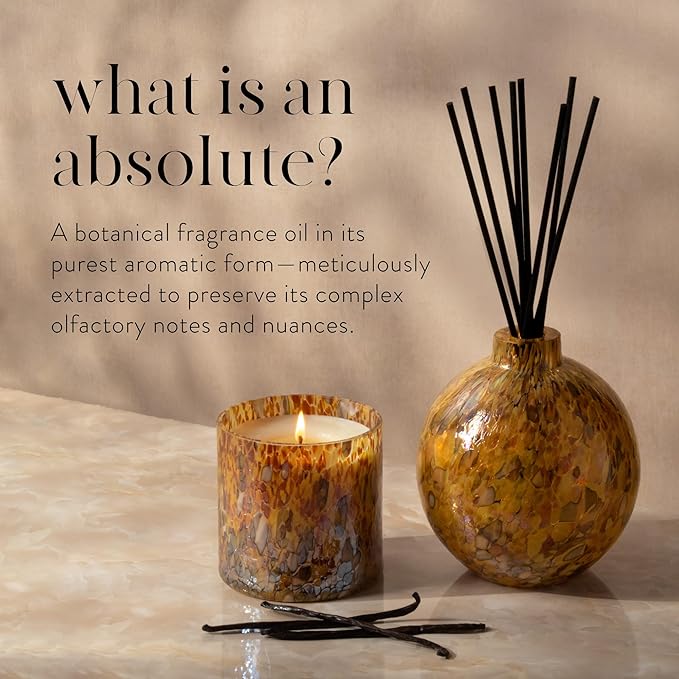 LAFCO New York Absolute Collection Reed Diffuser, Labdanum - 15 oz - Up to 1 Year Fragrance Life - Reusable, Hand Blown Glass Vessel - Nylon Reeds - Made in The USA