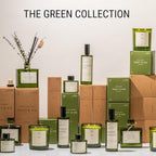 Craft & Kin Bamboo & Jasmine Reed Diffuser | All Natural Essential Oil & Rattan Scent Sticks | Fall Reed Diffusers for Home, Bathroom | Long Lasting Home Fragrance in Green Glass, 3.4oz