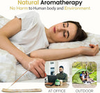 Satya Californian White Sage Incense Sticks 250 gmx 2 Pack (500 GMS), Insenses with Raajsee Insence Holder Bundle, Nag Champa Natural Incense