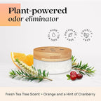 Azuna Air Freshener & Odor Eliminator for Strong Odor | 1 Room Kit Includes (1) Empty Luxe Glass Jar & 8oz Refill with Tea Tree Essential Oil Gel | Simply Citrus | Last 60-90 Days