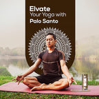 Satya Nag Champa Palo Santo Incense Sticks 250 gm Pack, Insenses with Raajsee Insence Holder Bundle, Nag Champa Natural Incense