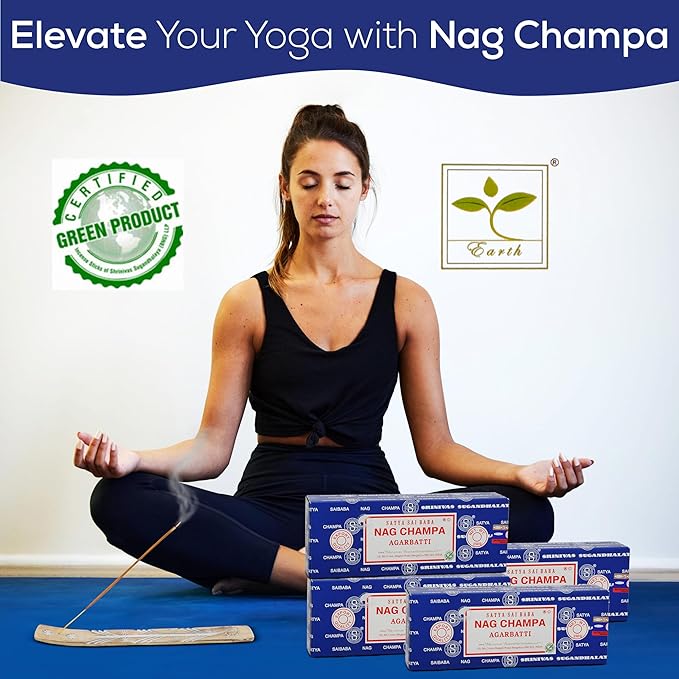 Raajsee Incense Holder Bundle with Satya Nagchampa Incense Sticks 250 gmx 4 Pack (1000 gm), Satya BNG (Bangalore) Insenses, Satya Nagchampa Natural Insence