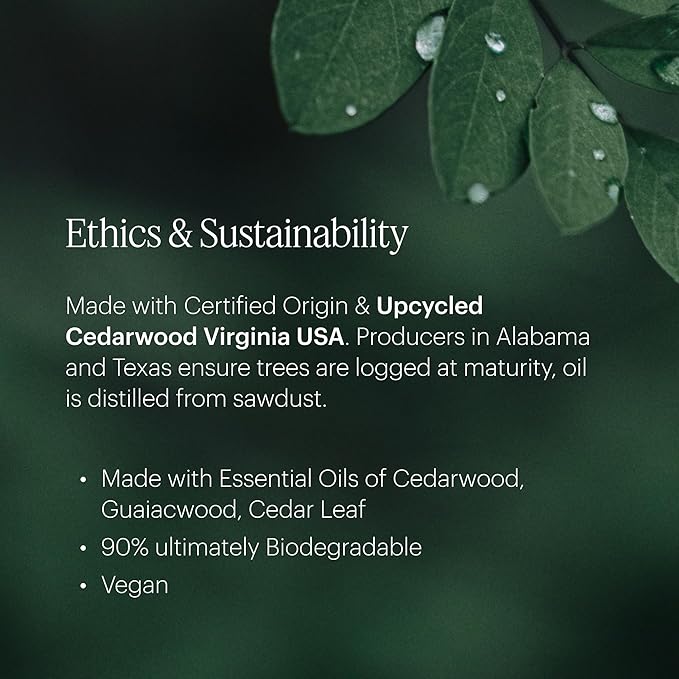 Aera Mini Feu de Bois - Essential Oil for Home - Wood Burning Fragrance - Notes of Smokey Embers and Driftwood - Scent Refill - Capsule Size Works with Mini Diffuser