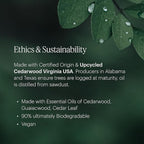 Aera Mini Feu de Bois - Essential Oil for Home - Wood Burning Fragrance - Notes of Smokey Embers and Driftwood - Scent Refill - Capsule Size Works with Mini Diffuser