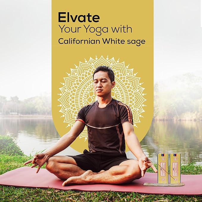 Satya Californian White Sage Incense Sticks 250 gmx 2 Pack (500 GMS), Insenses with Raajsee Insence Holder Bundle, Nag Champa Natural Incense