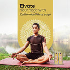 Satya Californian White Sage Incense Sticks 250 gmx 2 Pack (500 GMS), Insenses with Raajsee Insence Holder Bundle, Nag Champa Natural Incense