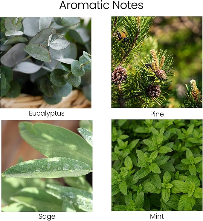 Natur IX Cleansing Scented Candles for Home | Sage & Palo Santo | Natural Non Toxic Soy Candles with Essential Oils | 50 H Long Burning | (Healing | Eucalyptus & Sage)