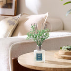 Airkeep Reed Diffuser Set,3.38 fl oz (100 ml) - Cinnamon Vanilla Oil Diffusers with 8 Reed Sticks, Home Fragrance Reed Diffuser for Bathroom Shelf Decor