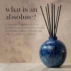 LAFCO New York Absolute Collection Reed Diffuser, Balsam Black Pepper - 15 oz - Up to 1 Year Fragrance Life - Reusable, Hand Blown Glass Vessel - Nylon Reeds - Made in The USA