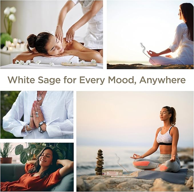 Satya White Sage Incense Sticks 250 gmx 2 Pack (500 GMS), Satya BNG (Bangalore) Insenses with Raajsee Incense Holder Bundle, Satya Nagchampa Natural Incense