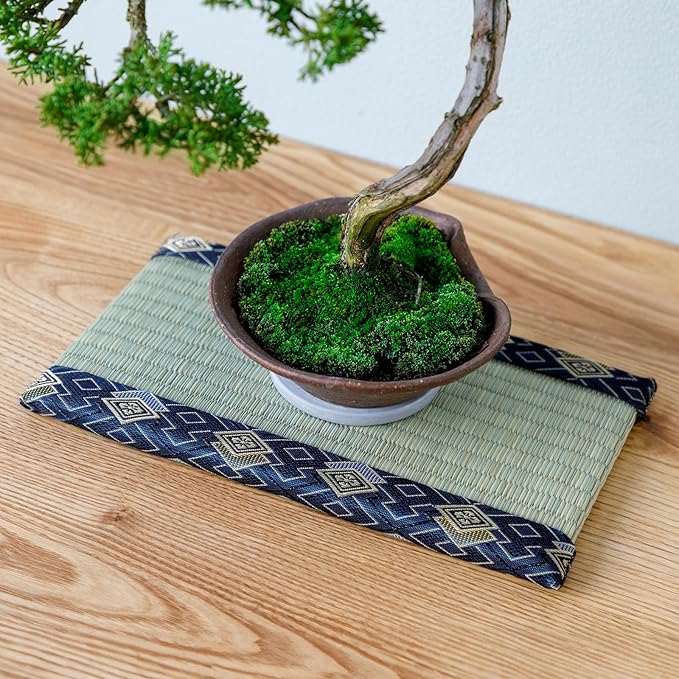 Asayu Mini Tatami mat Made of Real Igusa Rush Grass, Made in Japan, for Bonsai, Doll Stand, Coaster, Incense Holder (Blue)