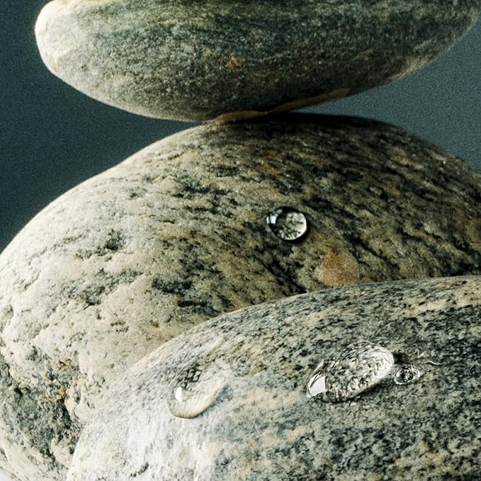 NEST New York Scented Classic Candle, Forest Rain - 8.1 oz - Up to 60-Hour Burn Time - Reusable Glass Vessel