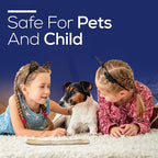 Satya Sai Baba Nagchampa Insence 250 gm Pack Bundle with Raajsee Incense Stick Holder, Insense Sticks Nag Champa Agarbatti