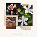 Airkeep Reed Diffuser Set,3.38 fl oz (100 ml) - Ocean Mist&Sea Salt Oil Diffusers with 8 Reed Sticks,Home Fragrance Reed Diffuser for Bathroom Shelf Decor