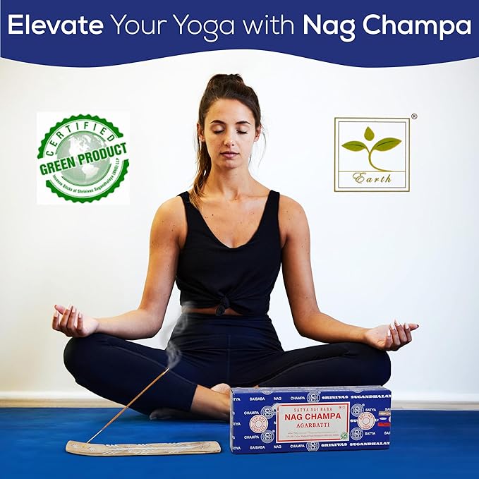 Raajsee Incense Holder Bundle with Satya Nag Champa Incense Sticks 250 gm Pack, Satya Sai Baba Nagchampa Natural Insence Sticks
