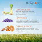 Air Freshener Spray Refills - Odor Eliminator w/Essential Oils - Home, Car & Fabric - Cruelty Free & Vegan - Variety Pack - Citrus & Spice, Lavender, Lemongrass - 3 x 16 fl oz