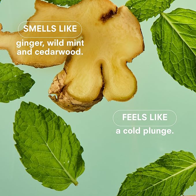 Boy Smells Mint Candle - 8.5 oz Fancy Candle with Ginger, Wild Mint, and Cedarwood- Up to 50-Hour Burn - Cotton Wick