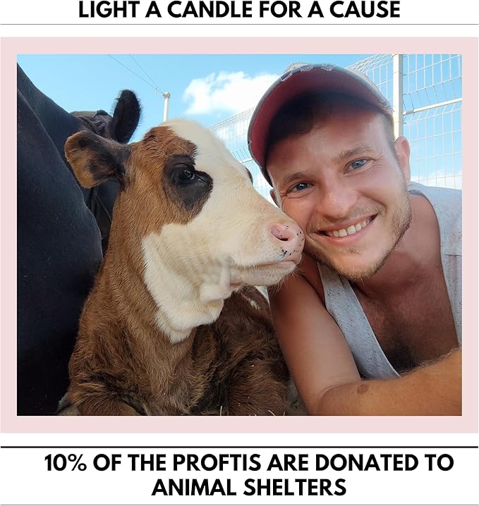 Matani Concrete Cement Candle Planter - Aromatherapy Soy, Dual Purpose Jar Gift (Black Sandalwood)