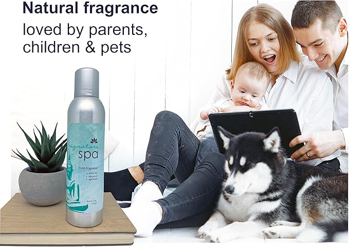 Room Fragrance Air Freshener Spray Concentrated Bathroom, Kitchen, Car, or Office Deodorizer, U.S.- Made by AP Fragrance (Spa)