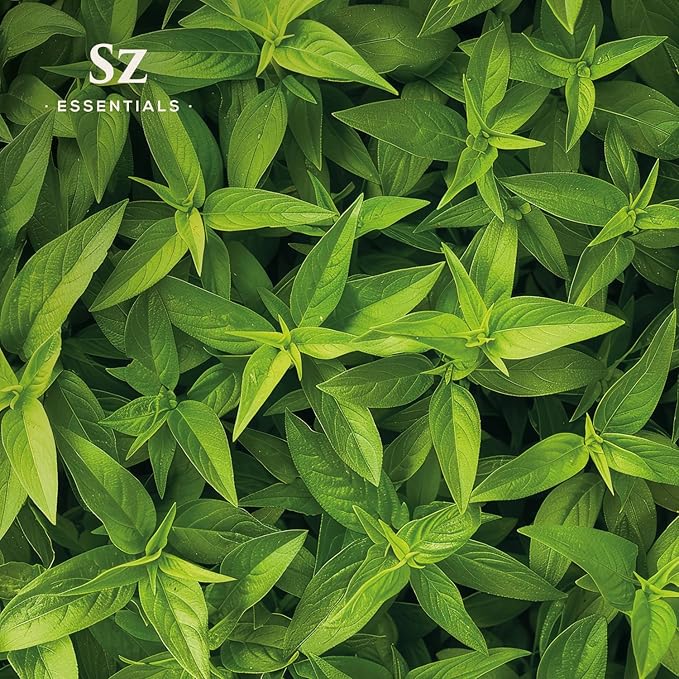 Lemon Verbena Essential Oil – 100% Pure & Natural, Grown in The High-Altitude Andes – Sweet, Citrusy, Uplifting Scent – Aromatherapy, Home Use – Therapeutic Grade & Vegan – 5 mL